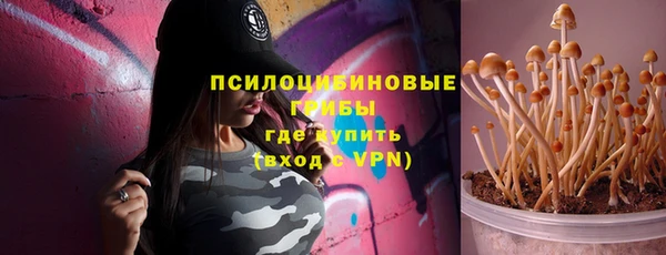 мет Магас