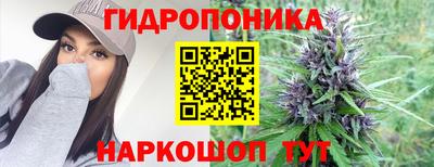дурь Гусиноозёрск