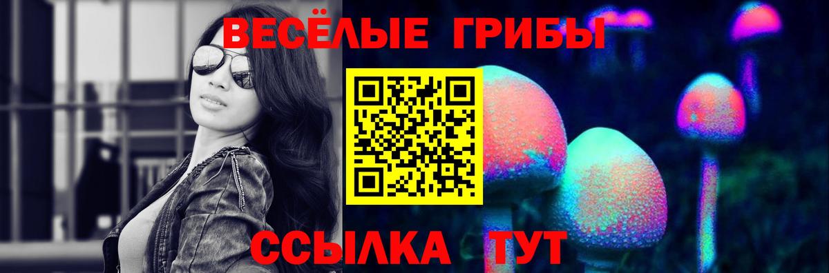 Галлюциногенные грибы Psilocybe Строитель